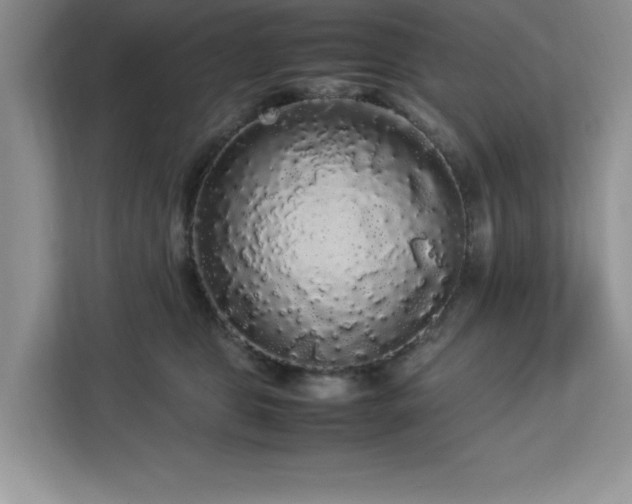 X0000113070469200908281158