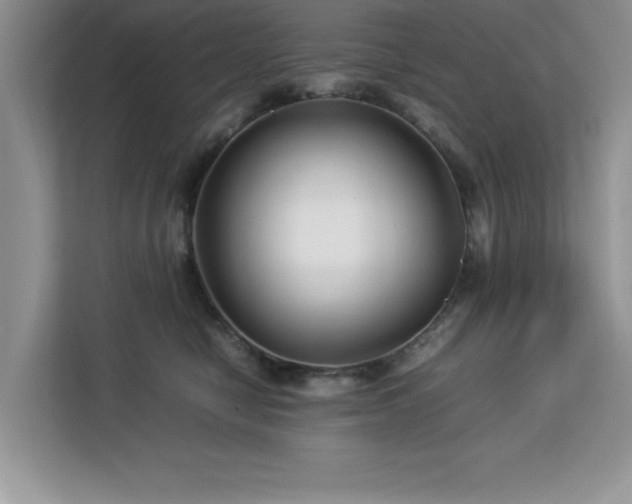 X0000113070470200908281158