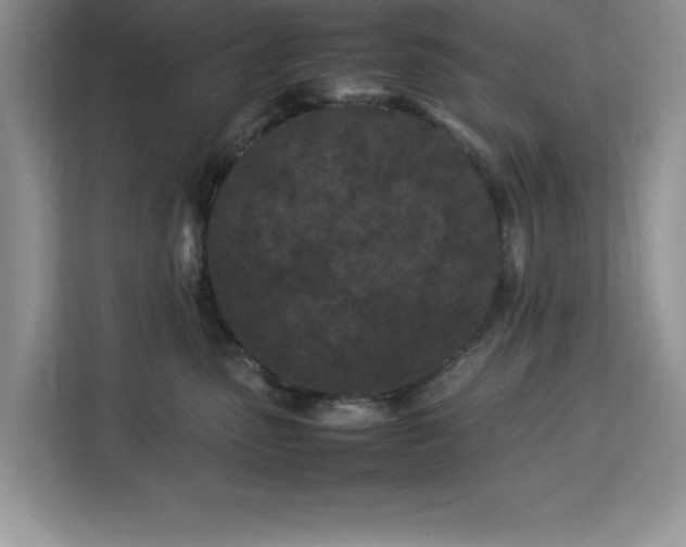 X0000113070475200908281158