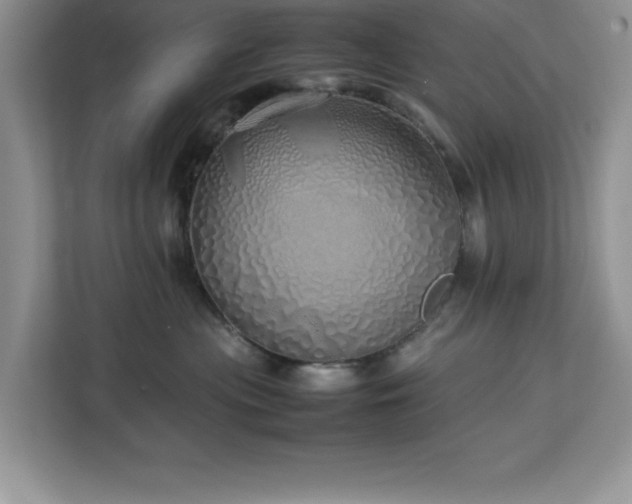 X0000113070477200908281158
