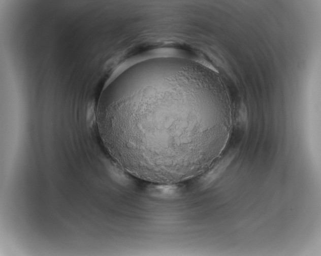 X0000113070478200908281158