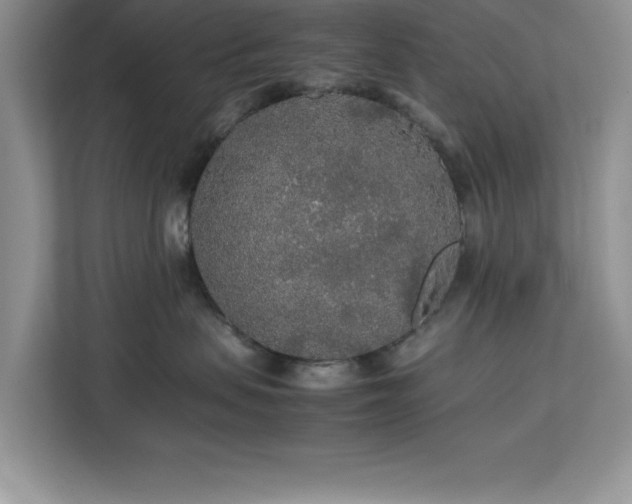 X0000113070479200908281158