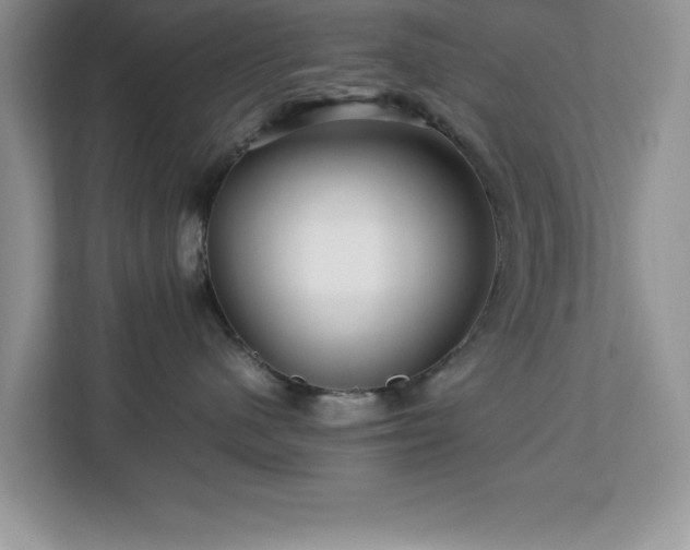 X0000113070480200908281158