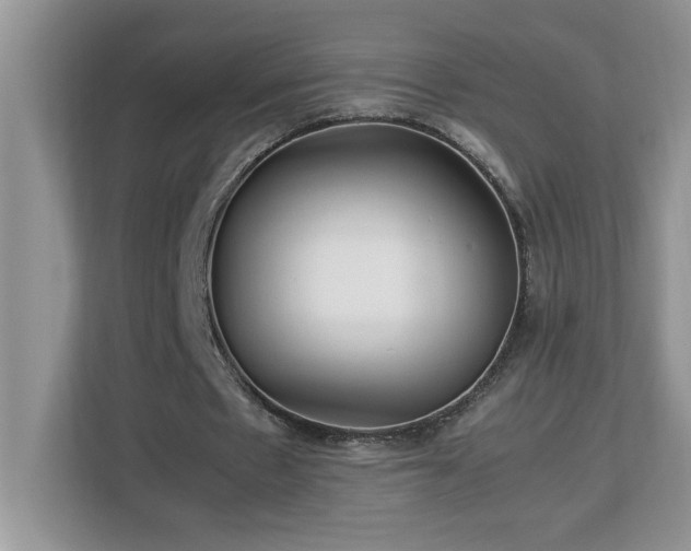 X0000113070481200908281157