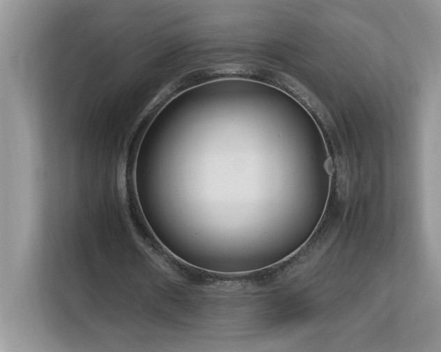X0000113070482200908281157