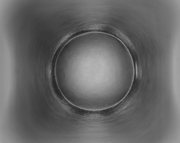 X0000113070483200908281157