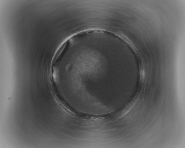 X0000113070484200908281157