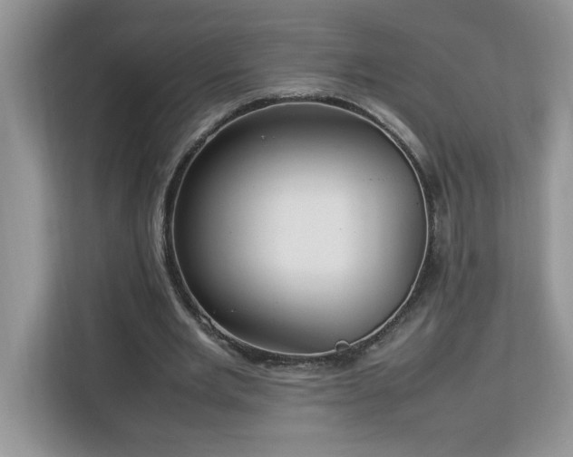 X0000113070485200908281157