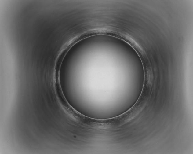 X0000113070486200908281157