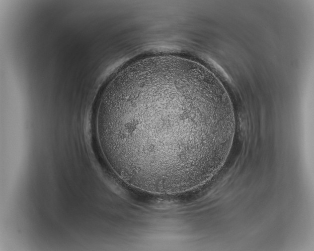 X0000113070487200908281157