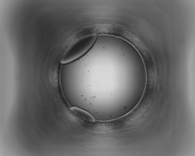 X0000113070489200908281157