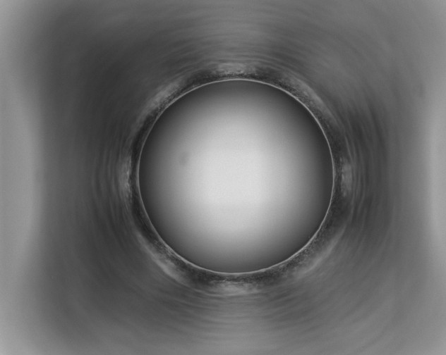 X0000113070490200908281157