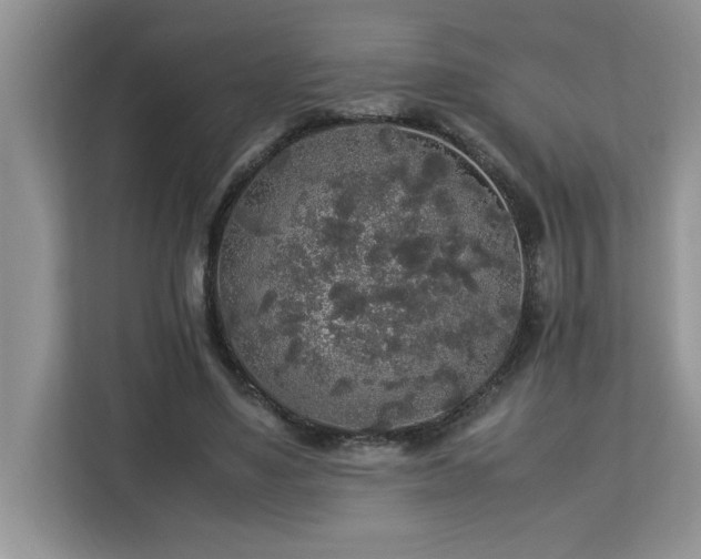 X0000113070491200908281157