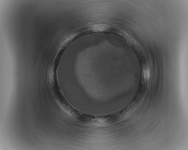 X0000113070492200908281157