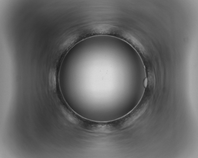 X0000113070493200908281157