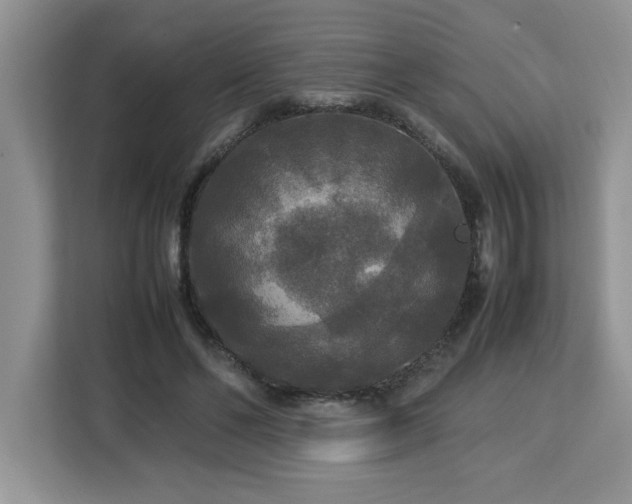 X0000113070494200908281157