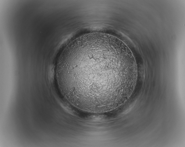X0000113070495200908281157