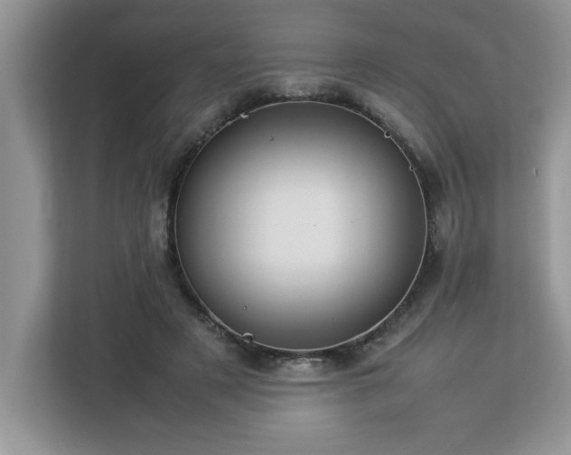 X0000113070497200908281157