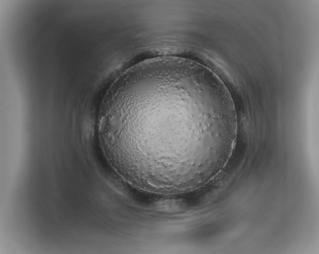 X0000113070499200908281157