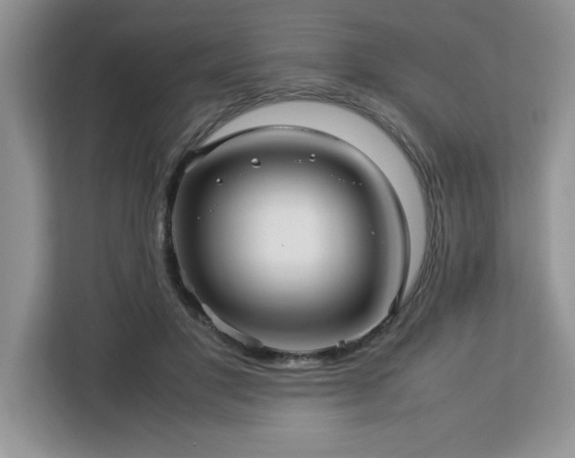 X0000113070501200908281157