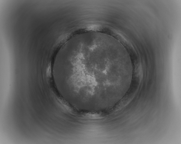 X0000113070502200908281157