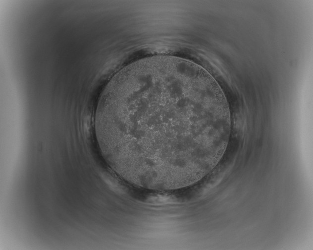X0000113070503200908281157