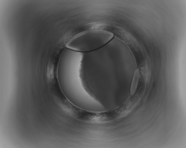 X0000113070504200908281157