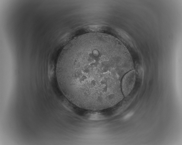X0000113070507200908281157