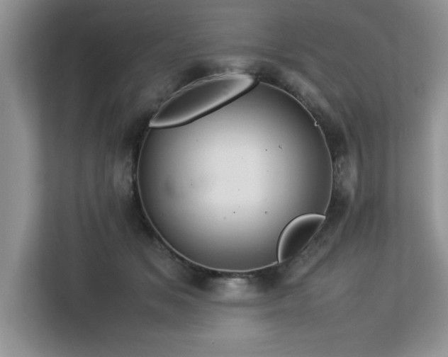 X0000113070509200908281157