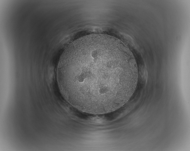 X0000113070511200908281157