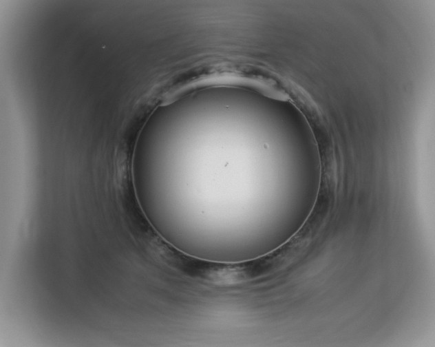 X0000113070513200908281157