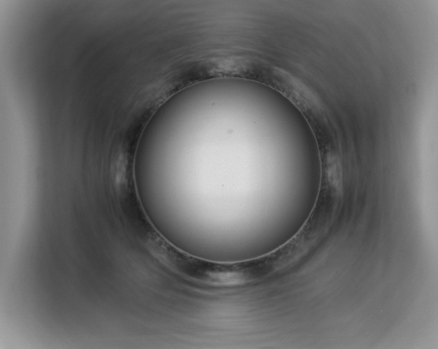 X0000113070514200908281157
