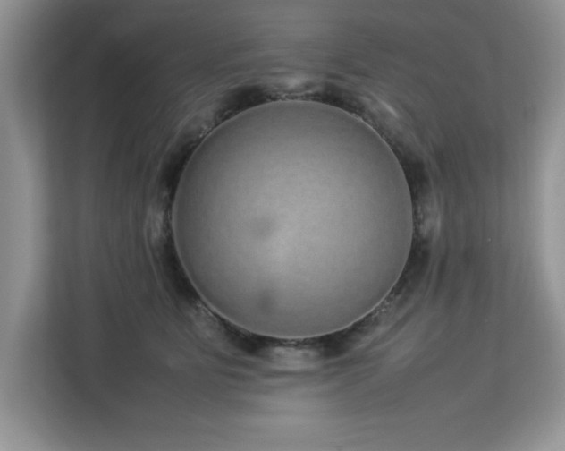 X0000113070515200908281157
