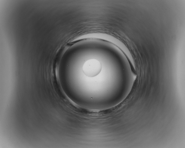 X0000113070516200908281157