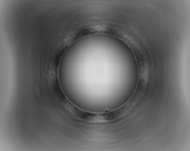 X0000113070518200908281157