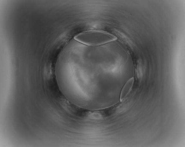 X0000113070520200908281157