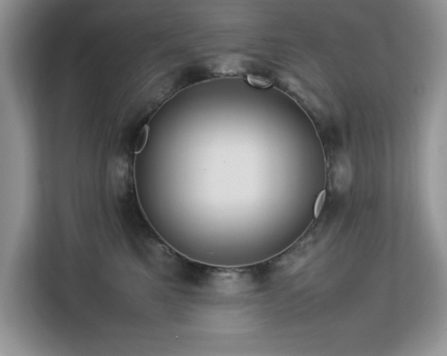 X0000113070521200908281157