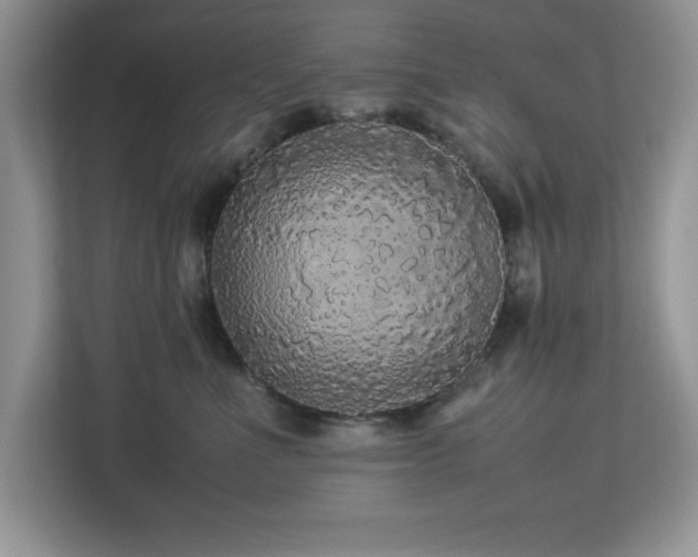 X0000113070523200908281157