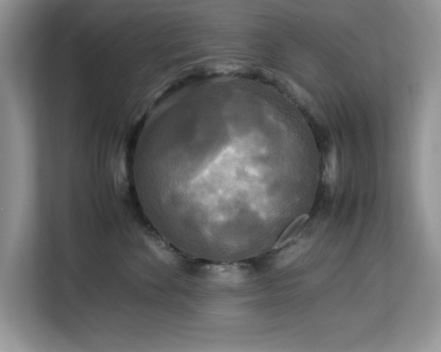 X0000113070524200908281157