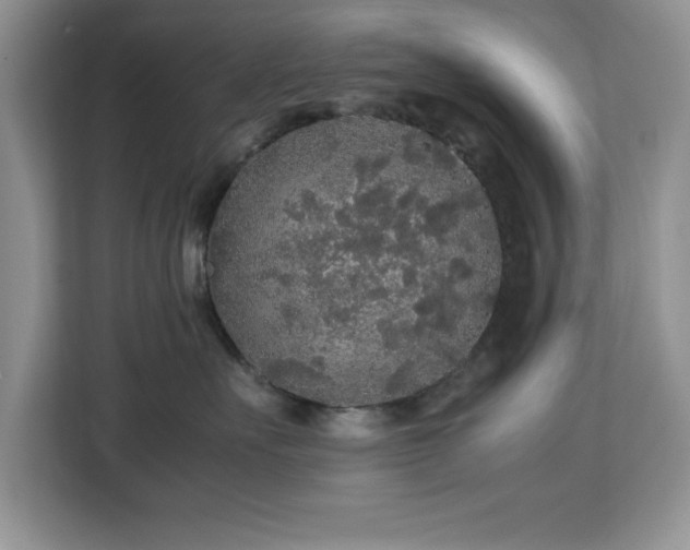X0000113070527200908281157