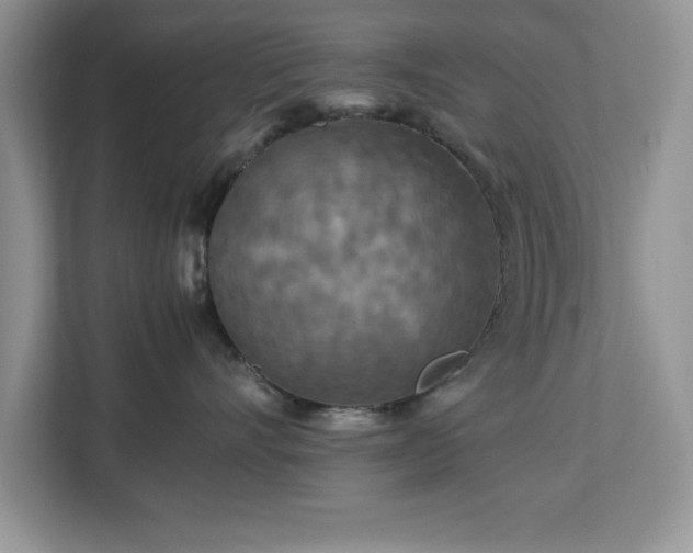 X0000113070528200908281157