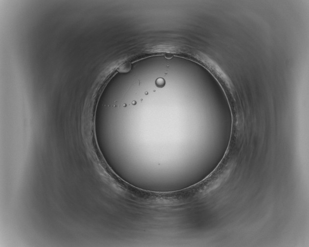 X0000113070529200908281156
