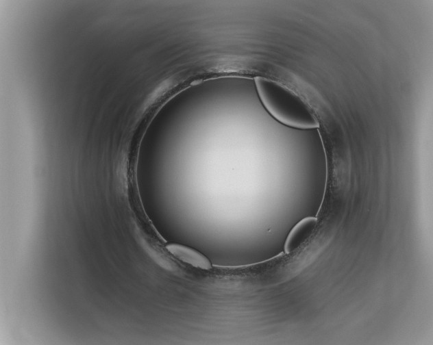 X0000113070530200908281156