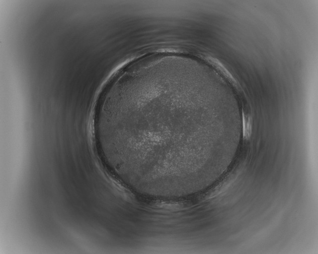 X0000113070531200908281156