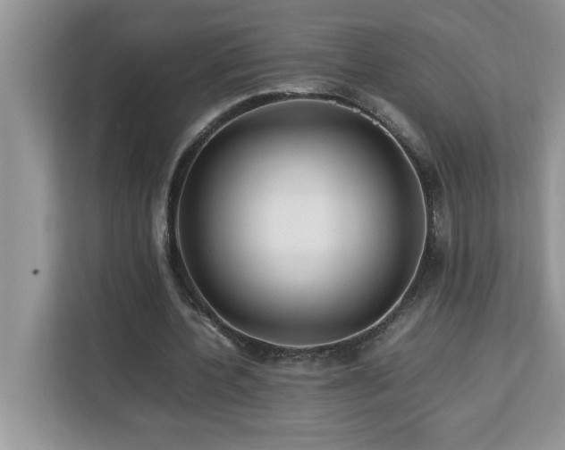 X0000113070532200908281156