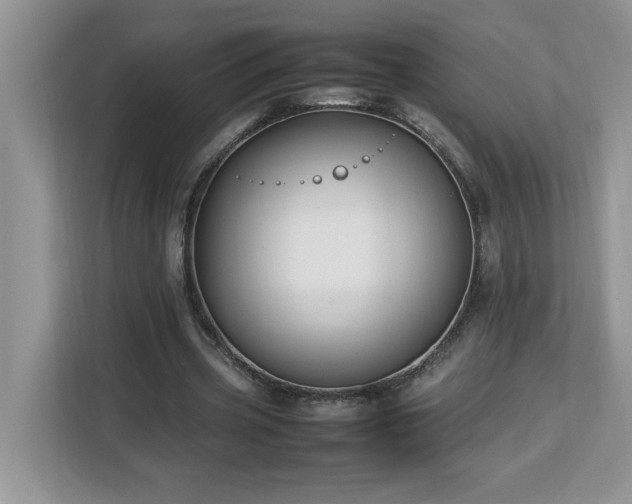 X0000113070533200908281156