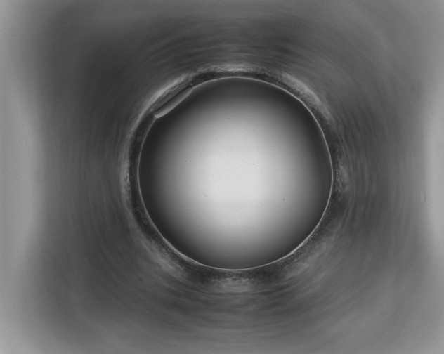 X0000113070535200908281156