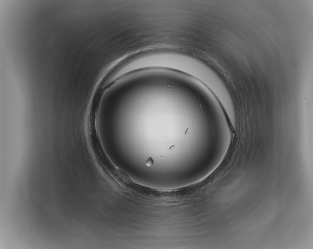 X0000113070536200908281156