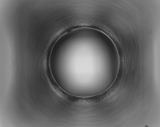 X0000113070538200908281156