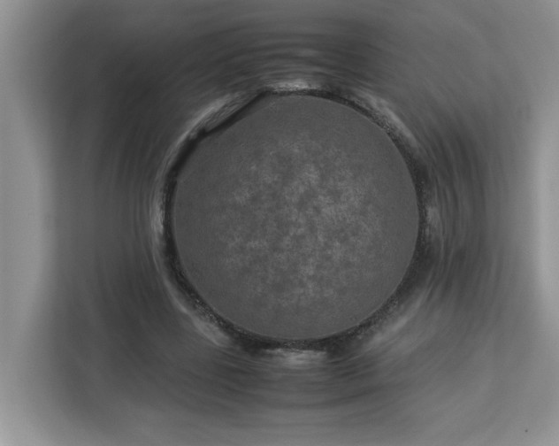 X0000113070539200908281156
